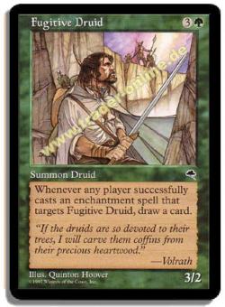 Fugitive Druid 