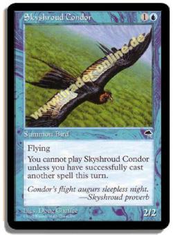 Skyshroud Condor 