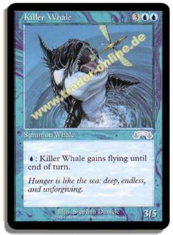 Killer Whale 