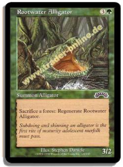 Rootwater Alligator 