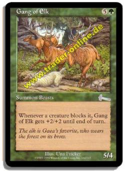 Gang of Elk 