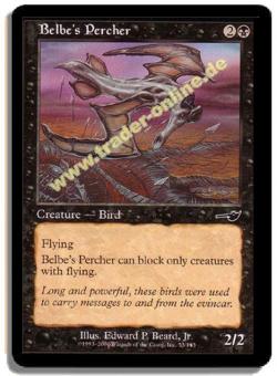 Belbe's Percher 