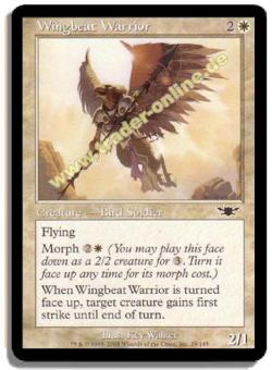 Wingbeat Warrior 