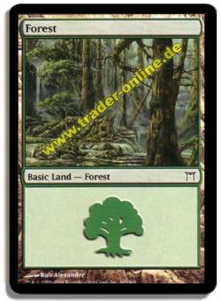 Forest (4 Motive verfügbar) 