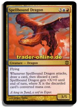 Spellbound Dragon 
