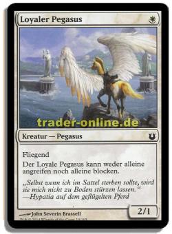 Loyaler Pegasus 