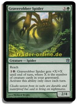 Graverobber Spider 