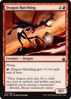 Dragon Hatchling (Drachen-Küken) 