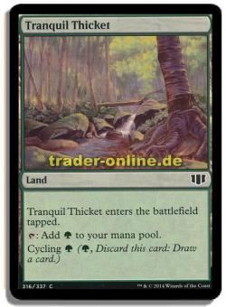 Tranquil Thicket 