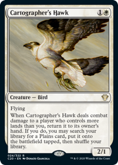 Cartographer's Hawk 