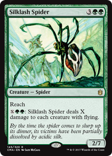 Silklash Spider (Seidenpeitschen-Spinne) 