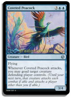 Coveted Peacock 