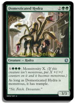 Domesticated Hydra 