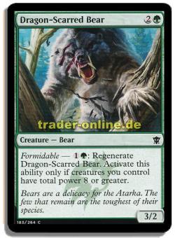 Dragon-Scarred Bear 