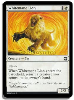 Whitemane Lion (Weißmähnenlöwe) 