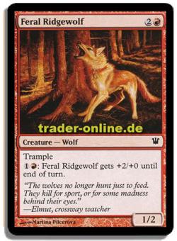 Feral Ridgewolf 