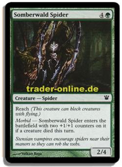 Somberwald Spider 