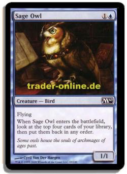 Sage Owl 