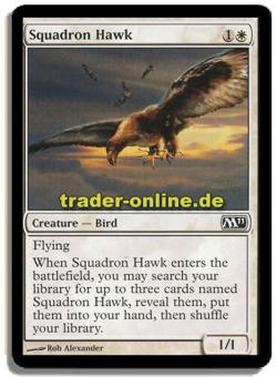 Squadron Hawk 