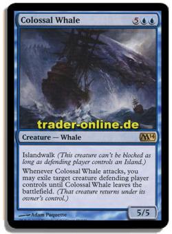 Colossal Whale 