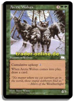 Arctic Wolves 