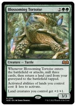 Blossoming Tortoise 