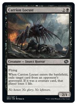 Carrion Locust 