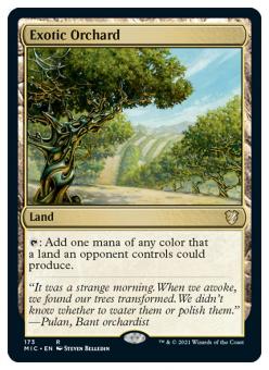 Exotic Orchard 