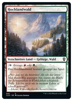 Hochlandwald 
