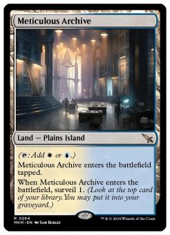 Meticulous Archive 