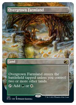 Overgrown Farmland (Alternativ-Art-Borderless) 