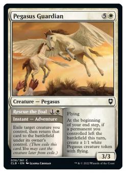 Pegasus Guardian / Rescue the Foal 